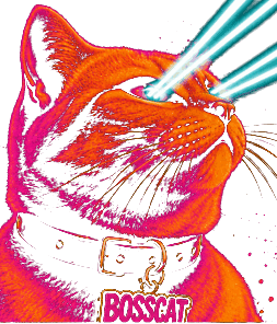 BOSSCAT, a laser-eyed orange cat
