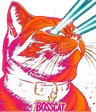BOSSCAT, a laser-eyed orange cat